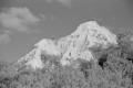 img011.jpeg.small.jpeg
