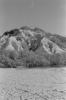 img013.jpeg.small.jpeg