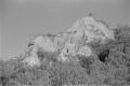 img014.jpeg.small.jpeg