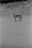 img016.jpeg.small.jpeg