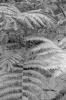 img018.jpeg.small.jpeg