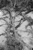 img019.jpeg.small.jpeg