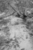 img020.jpeg.small.jpeg