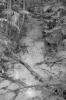img021.jpeg.small.jpeg
