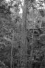 img022.jpeg.small.jpeg