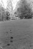 img023.jpeg.small.jpeg