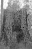 img026.jpeg.small.jpeg