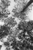 img027.jpeg.small.jpeg