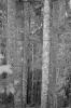 img028.jpeg.small.jpeg