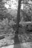 img029.jpeg.small.jpeg