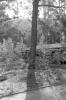 img030.jpeg.small.jpeg