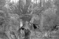 img031.jpeg.small.jpeg