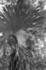 img034.jpeg.small.jpeg