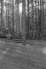 img035.jpeg.small.jpeg
