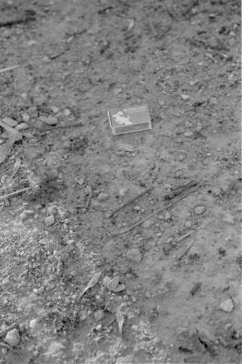 img006.jpeg.medium.jpeg