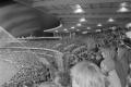 img017.jpeg.small.jpeg