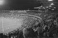 img019.jpeg.small.jpeg