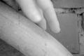 img015.jpeg.small.jpeg
