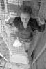 img018.jpeg.small.jpeg