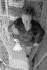 img019.jpeg.small.jpeg
