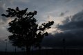 017-img_4460.jpg.small.jpeg