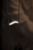 045-img_4787.jpg.small.jpeg