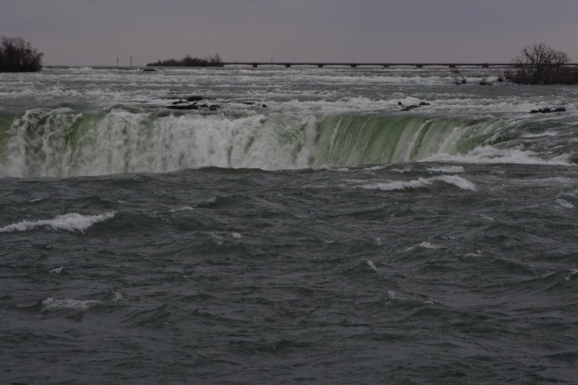 172-img_3848.jpg.medium.jpeg