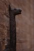 005-img_1554.jpg.small.jpeg
