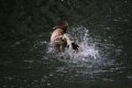 000-img_6913.jpg.small.jpeg