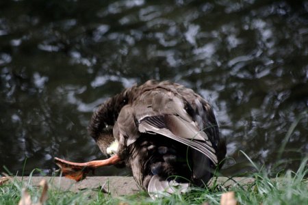 002-img_6929.jpg.medium.jpeg