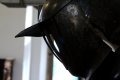 008-img_6967.jpg.small.jpeg