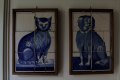 009-img_6978.jpg.small.jpeg