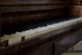 010-img_6988.jpg.small.jpeg