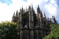 020-img_7077.jpg.small.jpeg