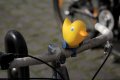 023-img_7091.jpg.small.jpeg