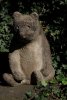 041-img_7250.jpg.small.jpeg