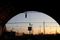 044-img_7276.jpg.small.jpeg