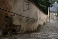 014-img_0519.jpg.small.jpeg