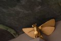 019-img_0562.jpg.small.jpeg