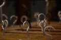 049-img_0755.jpg.small.jpeg