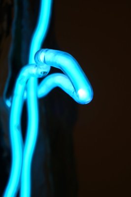 051-img_0776.jpg.medium.jpeg
