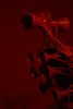 055-img_0813.jpg.small.jpeg