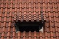 065-img_0885.jpg.small.jpeg