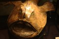 012-img_8355.jpg.small.jpeg