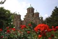038-img_8469.jpg.small.jpeg