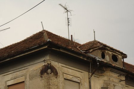 049-img_8542.jpg.medium.jpeg