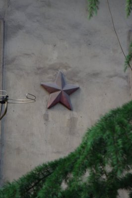 074-img_8688.jpg.medium.jpeg