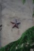 074-img_8688.jpg.small.jpeg