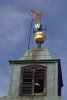 079-img_8720.jpg.small.jpeg